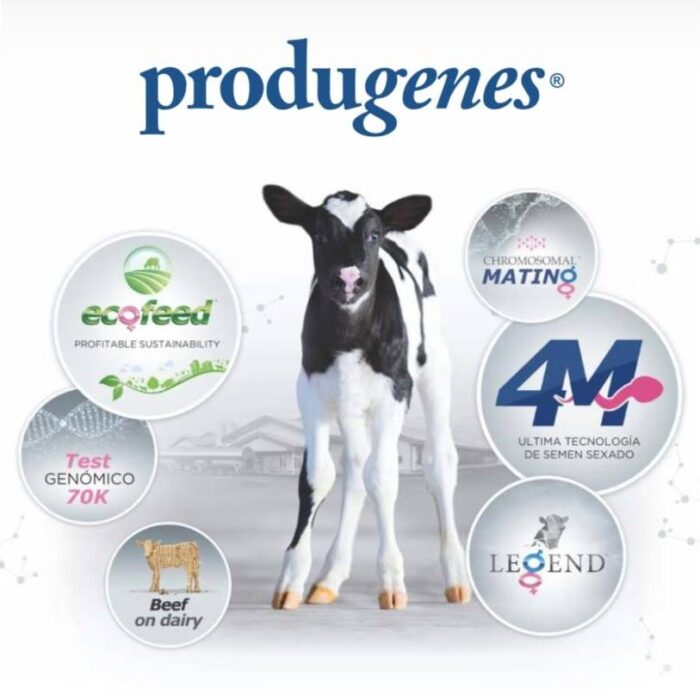 Produgenes SRL